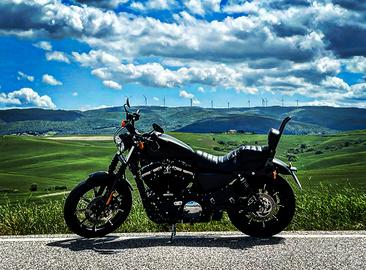 Harley 883 Iron step 1