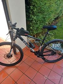 olympia drake tg L anno 2021 