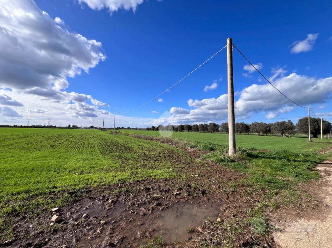 TER. AGRICOLO A MESAGNE - Vista 5