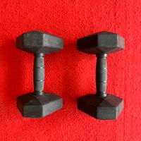 Coppia manubri 7,5 kg Decathlon palestra