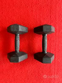 Coppia manubri 7,5 kg Decathlon palestra