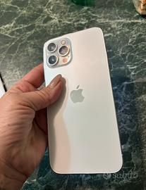 Telefonino iPhone 12 Pro Max 256Gb