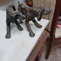 coppia cani