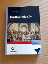 Diritto Sindacale 