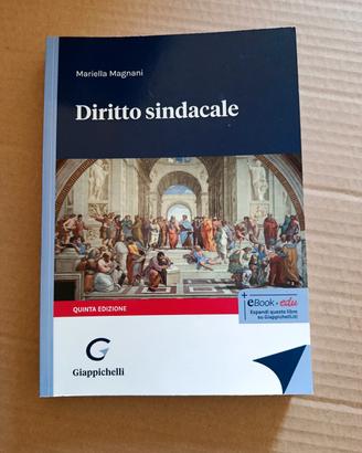 Diritto Sindacale 