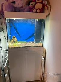 Acquario juwel 120 led