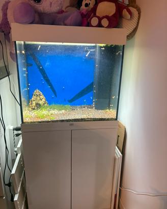 Acquario juwel 120 led