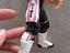 Immagine 3
