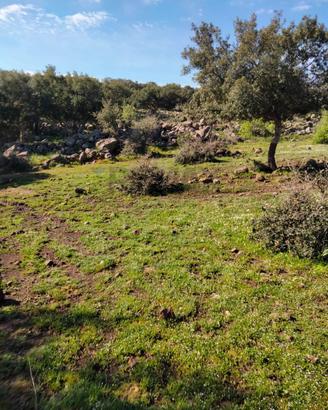 Terreno - Francofonte