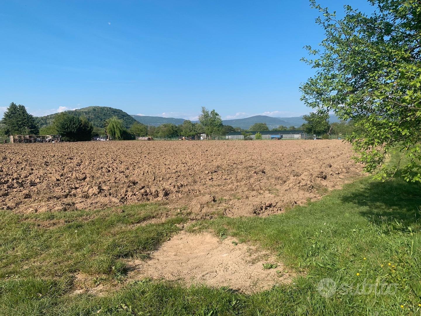 Terreno agricolo - Vista 4