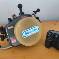 SET FOTOSUB SEALUX NIKON  D300