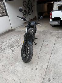 Honda CL 500 immatricolata 06/2024, Km  2600