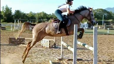Cavallo