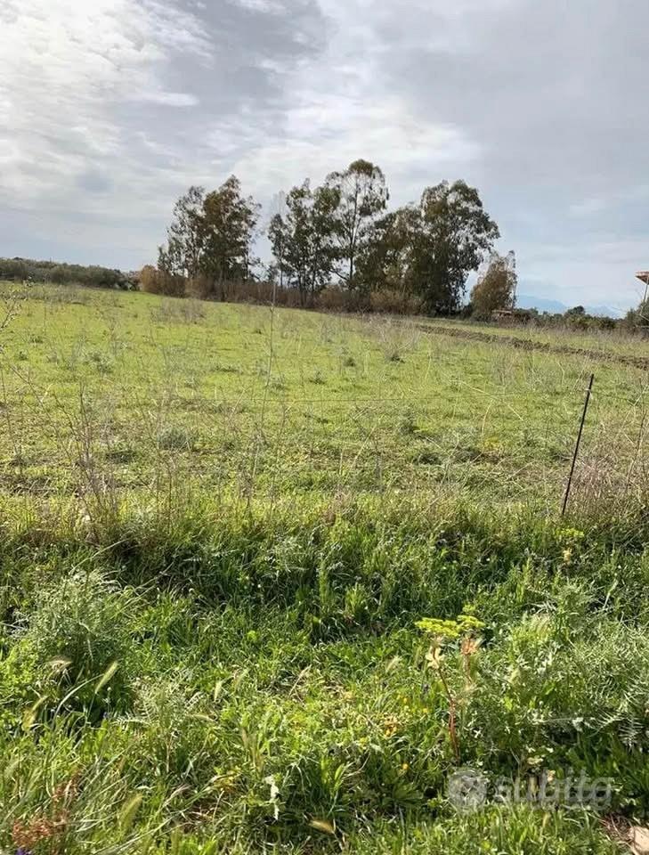 Terreno agricolo loc. "Terramaini" Santa Maria UTA - Altro