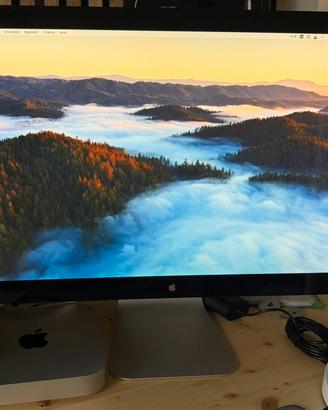 Mac mini m2 pro 16gb 512ssd + thunderbolt display