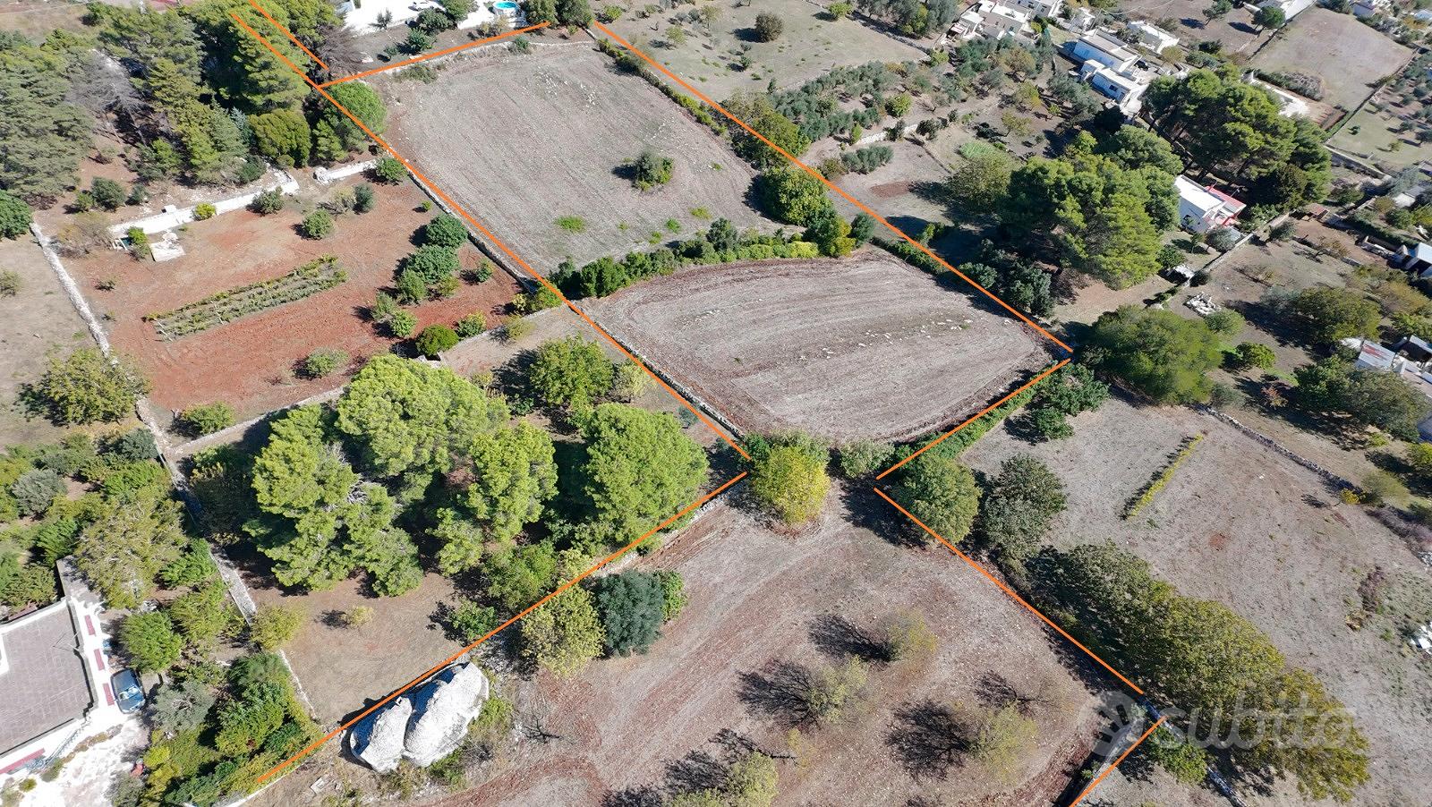 Terreno edificabile e Trulli - Altro