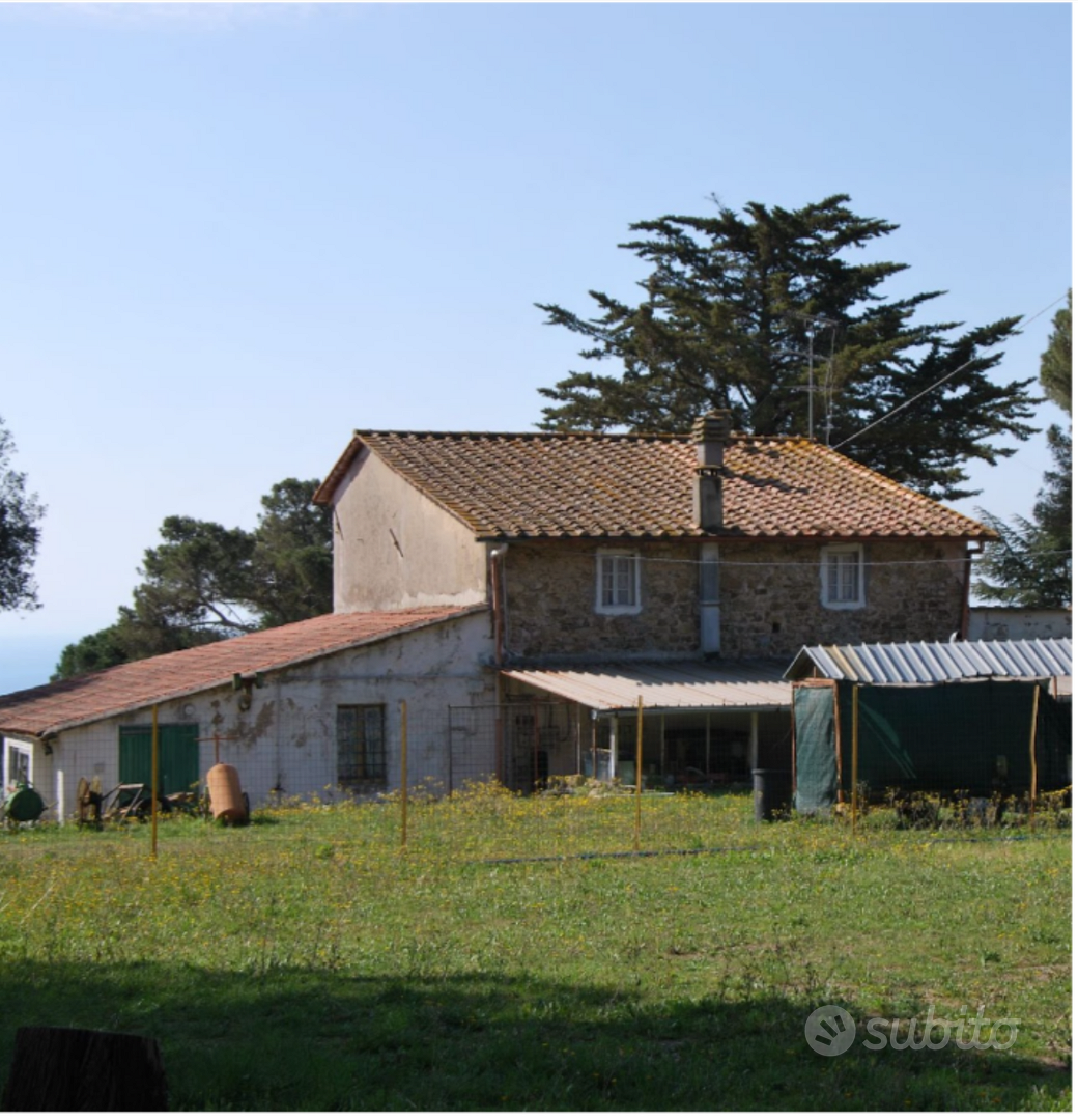 Casale con terreno - Vista 4