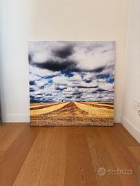 Quadro - Opera fotografica: Luce d’Inghilterra