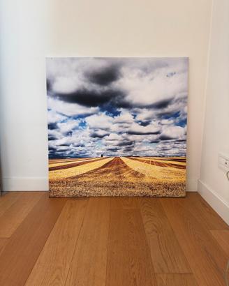 Quadro - Opera fotografica: Luce d’Inghilterra