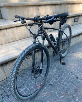 Mtb lee cougan revenge 29