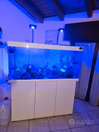 Plafoniere acquario marino 