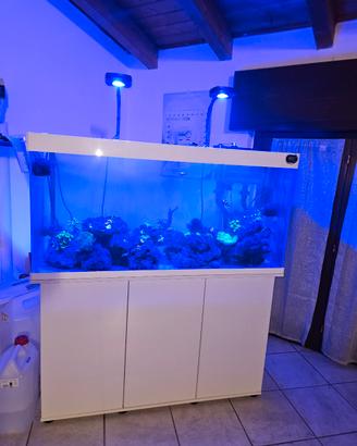 Plafoniere acquario marino 
