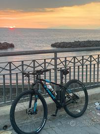 Mountain bike in carbonio