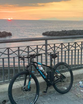Mountain bike in carbonio