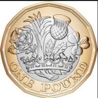 pound moneta inglese anno 2017