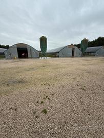 Prestigiosa Azienda Avicola con 24 Ha e Casale