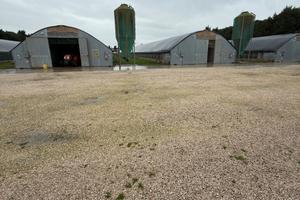 Prestigiosa Azienda Avicola con 24 Ha e Casale