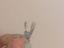 Immagine 5