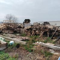 legna da ardere gratis 