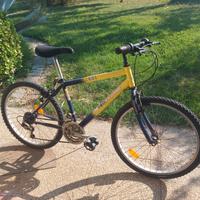BICI MTB DA RAGAZZO RUOTE 24