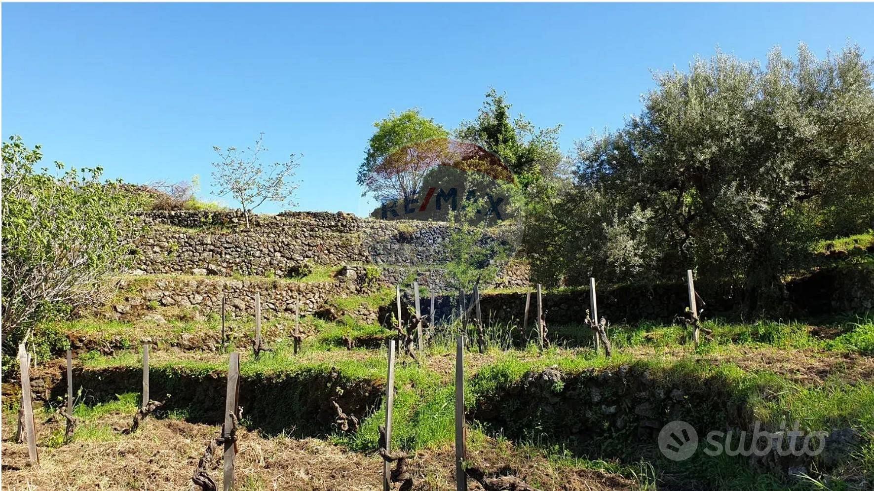 Terreno - Castiglione di Sicilia - Altro