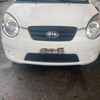 Kia picanto anno 2010