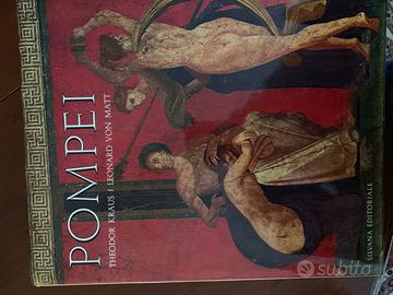 Libro POMPEI