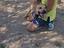 Immagine 2