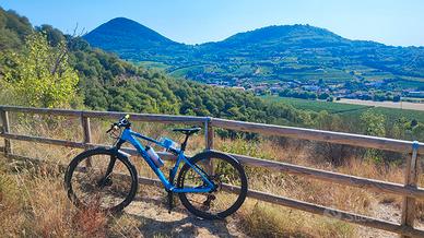 rockrider xc 500