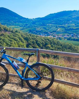 rockrider xc 500