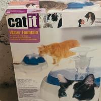 Fontanella per gatti