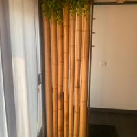 Separé legno e bamboo