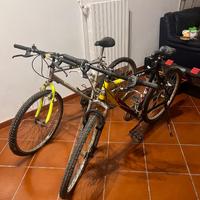 2 bici da ragazzo