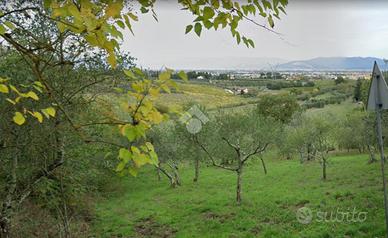 TER. AGRICOLO A SCANDICCI