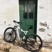 Specialized Stumpjumper Elite