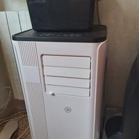 Condizionatore Portatile 9000 BTU/H,4-in-1 Climat 