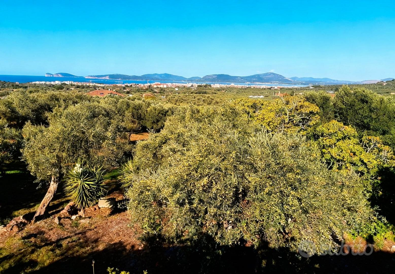 Casa – Alghero, La Cunetta - Altro