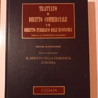 Trattato di diritto commerciale. Galgano.