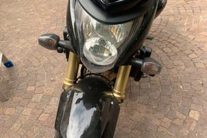 Hornet 600 2008