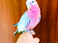 Immagine 1